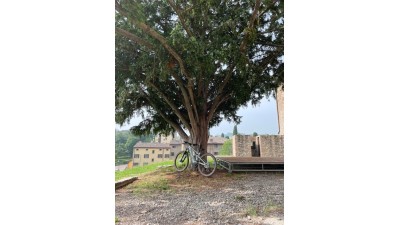 Tour Foliage nelle colline...