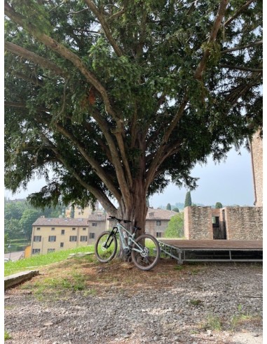 Tour Foliage nelle colline del...
