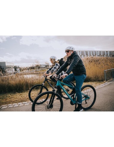 Bicicletta Muscolare Focus - WHISTLER...