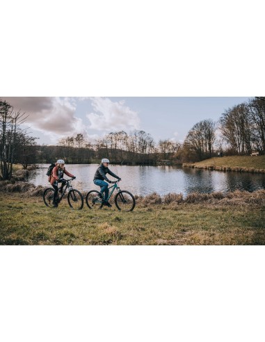 Bicicletta Muscolare Focus - WHISTLER...