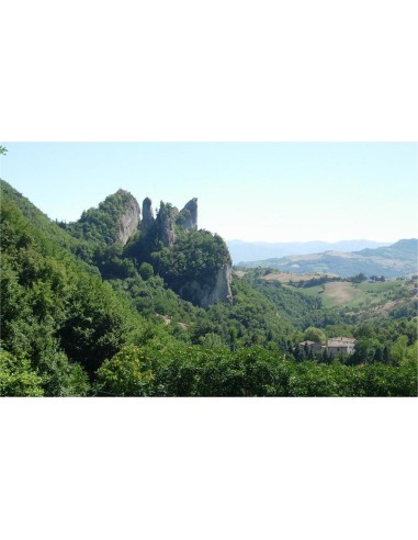 Tour dei Sassi di Rocca Malatina 14...