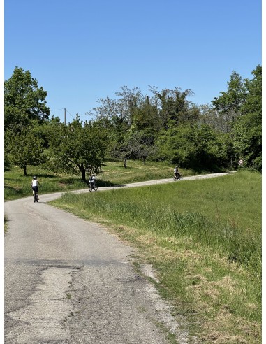 TOUR ALLA SCOPERTI DEI COLLI DI...