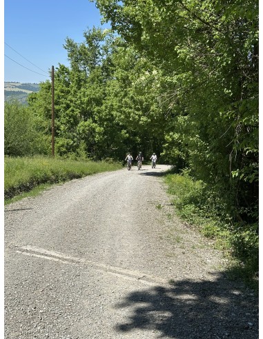 Tour alla scoperta di Zocca e dei...