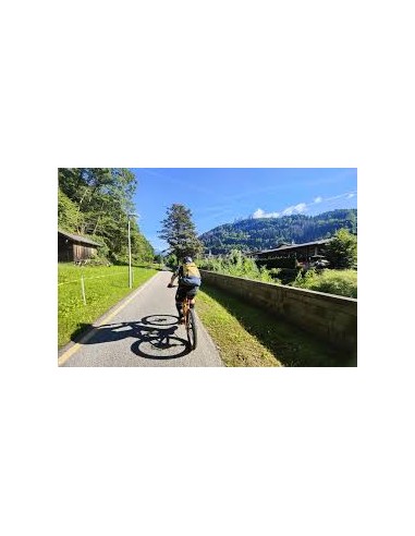 Tour alla scoperta di Zocca e dei...