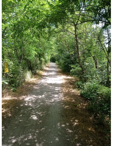 Tour alla scoperta di Zocca e dei...