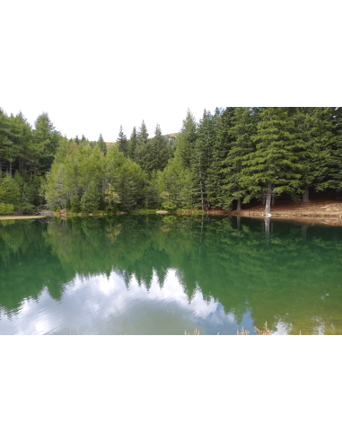 26/07 Le Polle - 1 Day + Pranzo